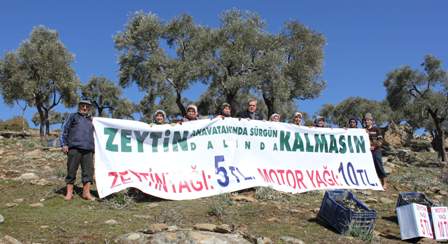 Zeytin üreticisinden pankartlı eylem