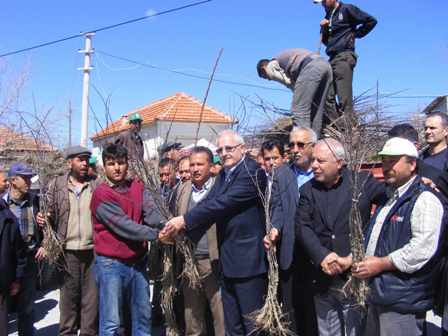 Çavdar köyü de elmacı olacak