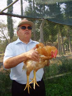 Türkiye’nin ilk organik pilici 3 Temmuz’da piyasada olacak