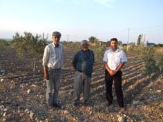 Zeytin üreticileri vaad edilen desteklemeleri istiyor
