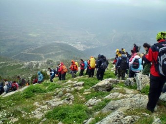 Tırpancı, Hareketsizlik dördüncü ölüm nedeni