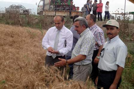 Aydınlı buğdaycı tarla gününde buluştu