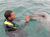 Kuşadası körfezinde Yunus Tom için seferberlik