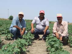 Çiftçi kara kara düşünüyor