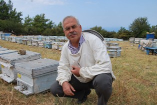 Arı ve bal sektöründe tehlikeli gelişme