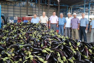 TÜRKLERİN PATLICAN KEBABI AVRUPADA ÇOK SEVİLİYOR