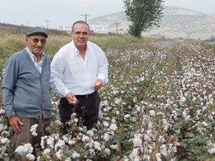 Pamuk değerini bulursa tekrar pamuk ekeriz