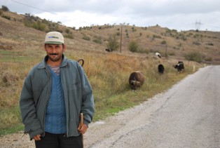 Çobanlar kıymete bindi