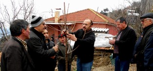 Kiraz hastalıklarıyla mücadele başlatıldı