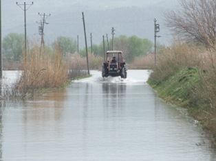 TARSİMden üzücü haber