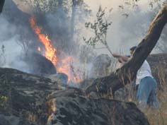 Feslek Yaylası’nı ateşe verdi