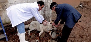 Aydın Kuduza karşı önlemini aldı