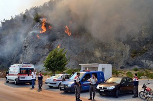 Sökede orman yangını korkuttu