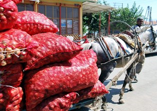 Egenin en büyük halinde ekmek mücadelesi