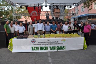 İncir festivalle tanıtıldı