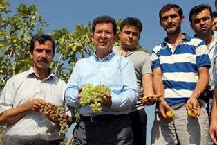 AK Partili Kılınç mağdur incirci için düğmeye bastı