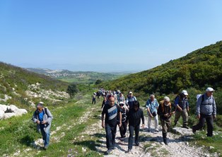 Didimde kutsal yol alternatif proje olarak turizme açılıyor