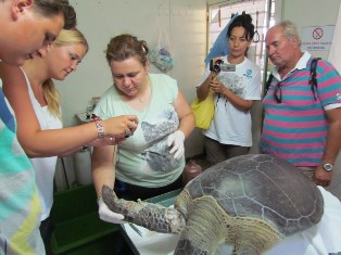 BİR CARETTA CARETTA ÖLÜ, BİR