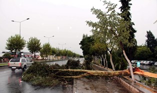 Fırtına Aydında da yaşamı feç etti