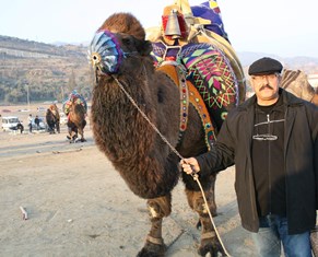 Aydının milli hayvanı haline geldi