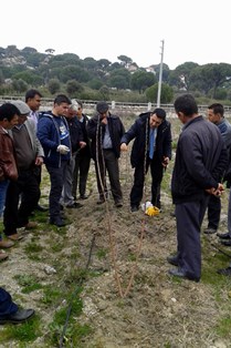 ÜRETİCİLERE MEYVE AĞAÇLARINDA