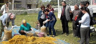 Aydında kadın çiftçiler kayın mantarı üretecek