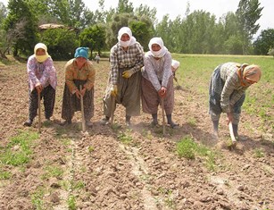 Türk tarımında övünme dönemi bitip, dövünme dönemi başlıyor