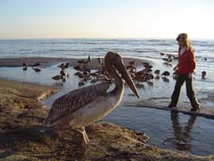 Milli Parkta börülce nöbeti
