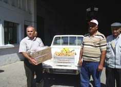 √ Pamukçuya sulama kredisi ödemeleri başladı