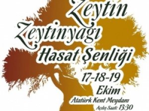 Zeytin kenti Aydın hasatını kutluyor