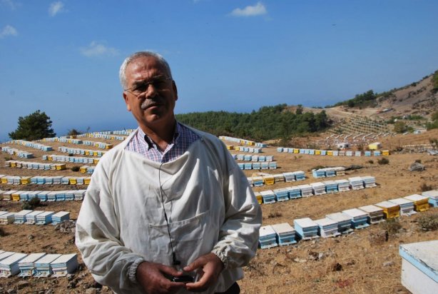 Aydın’da bal hasat şenliği düzenlenecek