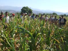 Hazine arazisi işleyen çiftçilerde afet kapsamına alınmak istiyor