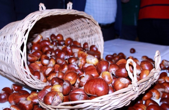 Kestane hırsızlarını güvenlik kamerası yakalattı