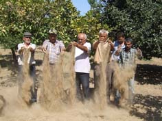 Kuraklık tarım sigortası kapsamına alınmalı