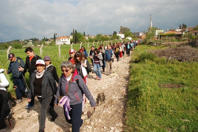 Aydın Halk Sağlığı Müdürlüğü kutsal yolda yürüyüş düzenliyor