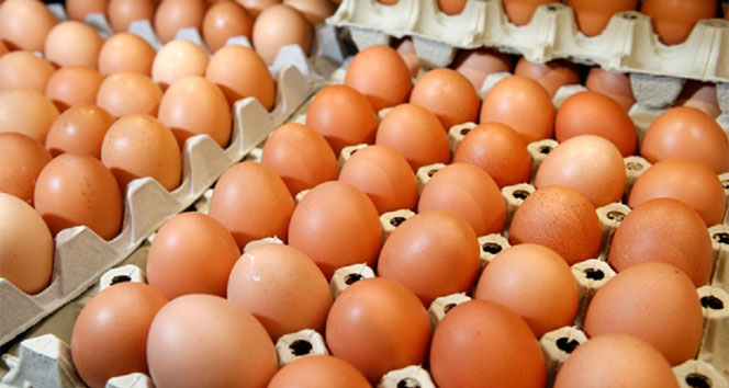 Yumurta yemek için 4 akıllı neden