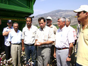 Makinalı hasat başladı