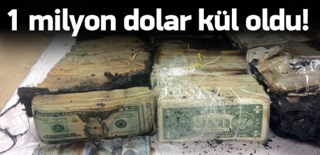 1 milyon dolar nakit para kül oldu!