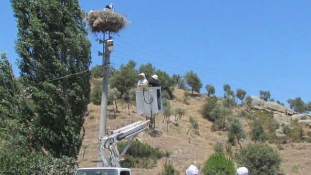 3 Gün elektrik kesintisi uygulanacak