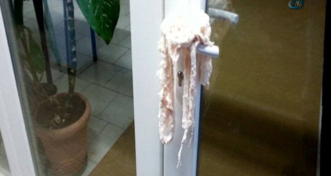 Viyana'da camiye çirkin saldırı