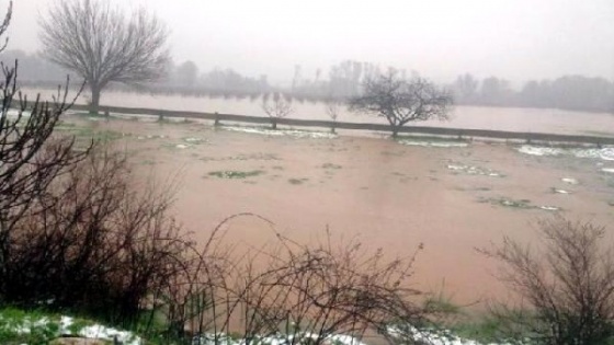 22 bin tavuk boğularak telef oldu