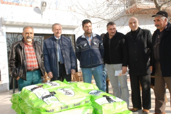 Mavi kapaklar sokak hayvanları için mamaya dönüştü