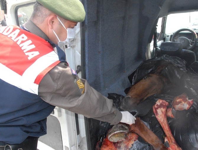 At hırsızları hem atçıları hem de vatandaşları korkutuyor