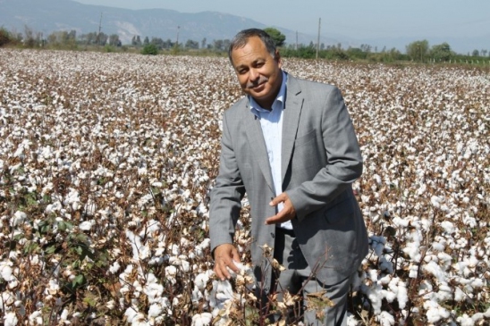 Kocabaş; "Yüksek maliyet çiftçiyi pamuktan uzaklaştırıyor"