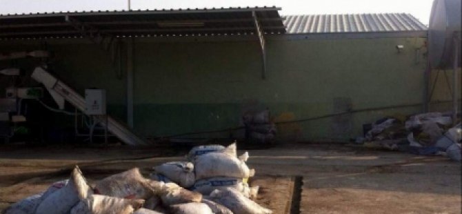 Yemek molası verince 700 kilo zeytini çalındı