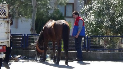 Hırsızın at arabasını otoparka çektiler