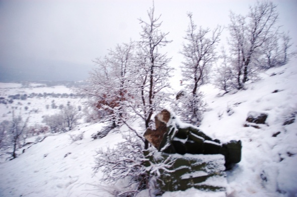 Dört şehitten geriye bunlar kaldı