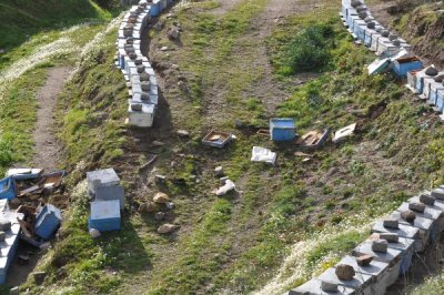 Babanın oğlu ile kesişen acı kaderi