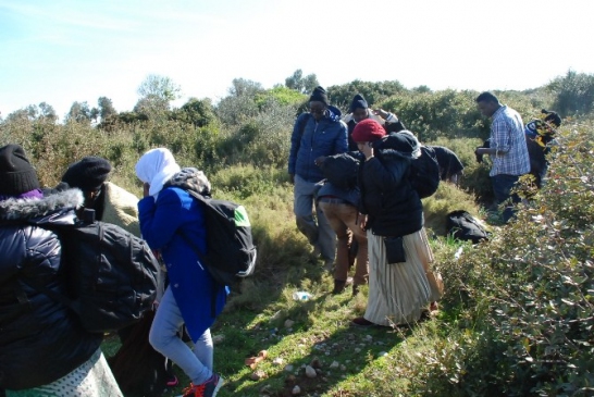 Umutlar Didim'de sona erdi