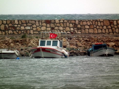 Didim'de lodos balıkçıları olumsuz etkiledi